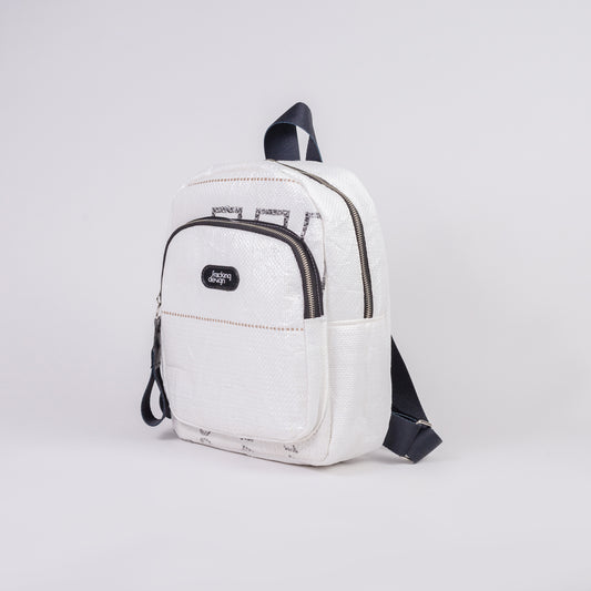 Backpack: Alumine